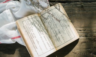 路见不平拔刀相助的意思(路见不平拔刀相助的意思和造句)