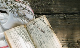 双文是什么意思 双文星是什么意思