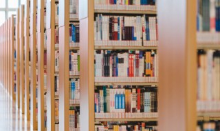 软锰矿是什么意思 软锰矿的成因