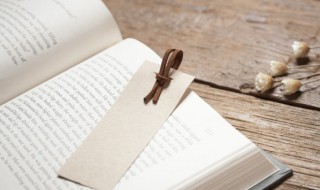 涸辙之鲋的意思（涸辙之鲋的寓意和启示）