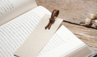 镗鞳是什么意思（镗怎么读什么意思）