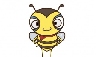 中蜂冬季如何管理 中蜂冬季如何管理好