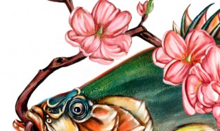 鳜鱼家中怎么养（鳜鱼家中怎么养好）