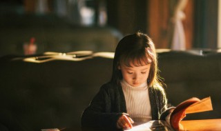 作文雨（作文雨600字）