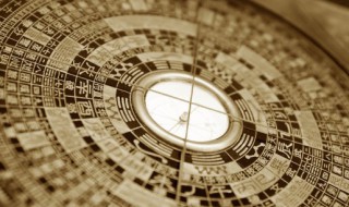 猪五行属什么 猪五行属什么属性