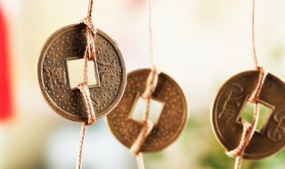 申时五行属什么 申时五行属什么金