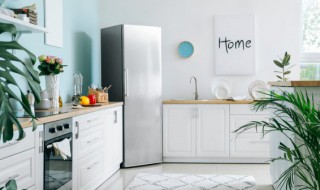 家中鼻涕虫怎么产生的（家中鼻涕虫怎么产生的）