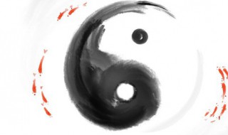 生字五行属什么 怎么判断五行属什么