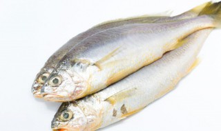 吃了草鱼鳃会怎么样?-（鱼吃草的吗）