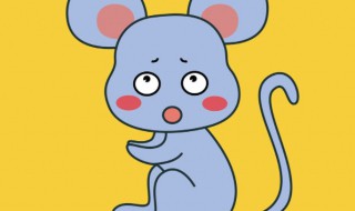 怎么判断老鼠装死 老鼠装死会装多久