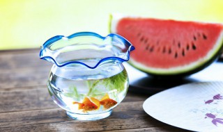 锦鲤鱼烂尾烂鳍怎么治(锦鲤鱼烂尾烂鳍怎么治高锰酸钾)