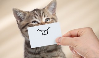 可爱沙雕网名简单又好听 可爱沙雕网名简单又好听老衲