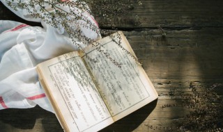 应声虫什么意思 应声虫什么意思 百度网盘