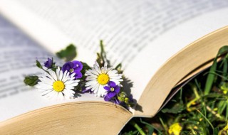 不绝如缕什么意思（不绝如缕的意思是什么意思是什么）