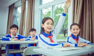 母爱作文800字（那一刻我读懂了母爱作文800字）