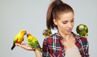 不用孵蛋器怎么孵鸟蛋 最土最简单自制孵化器