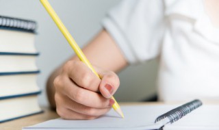 鉴赏和田玉雕的美学短文 和田玉鉴赏论文