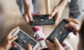 小森生活如何养殖小鱼（小森生活养殖攻略）