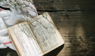 兄弟手足的意思（兄弟是手足）