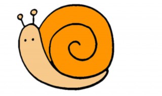 蜗牛蛋怎么孵化(怎么判断蜗牛怀孕了)