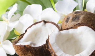 清润鲜美椰子鸡的做法视频 清润鲜美椰子鸡的做法