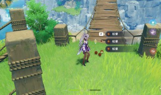 原神清理门户世界任务怎么做（原神门户清理任务怎么触发）