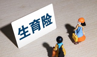 生育险和生育津贴是一回事吗（生育险交多久生孩子可以报销）