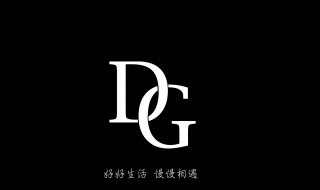 @dg是什么品牌标志（dg是什么品牌标志gmg@）