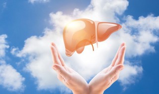 吃什么食物对肝脏好养肝护肝(吃什么东西对肝好)