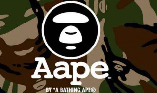 bape是什么品牌 世界十大顶级奢侈品牌