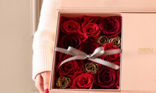 野兽派是什么品牌（野兽派）