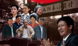 沈书记电视叫什么名字(一个叫沈总的电视剧)