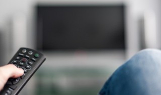 蓝波狗是什么电影 蓝波狗图片