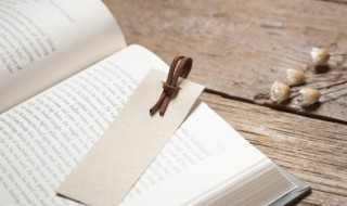 比翼双飞的词语意思 比翼双飞的词语意思是