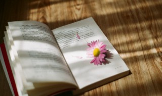 鬼鬼祟祟的词语意思 鬼鬼祟祟是词语吗