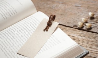 变本加厉的词语意思（变本加厉的意思是什么的意思）