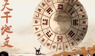什么是正印格（什么是正印格男命）