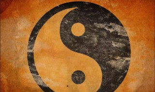 壬午是什么意思（八字壬午是什么意思）