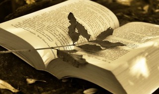 辛巳是什么意思（时辰辛巳是什么意思）