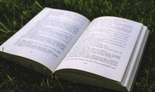 壬子是什么意思（时辰壬子是什么意思）