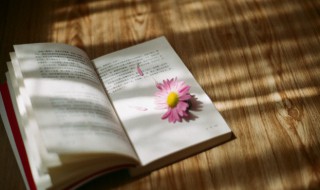 天干指什么（天干指什么意思）