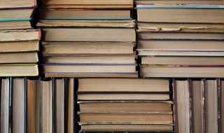 牙齿尖代表的意思 牙尖的解释哪一个是正确的