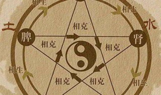 八字十神中偏财的含义（十神偏财是什么意思）
