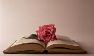 梦见红色 梦见红色棺材是什么意思周公解梦