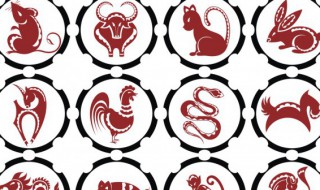 此命局入建禄格什么意思 命格:建禄格