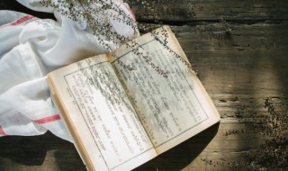 凿壁借光的词语意思 凿壁借光这个词语的意思