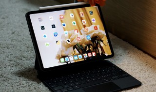 ipad怎么卸载软件（平板ipad怎么卸载软件）