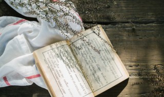 详解天干相冲与地支相冲的含义 详解天干相冲与地支相冲的含义视频