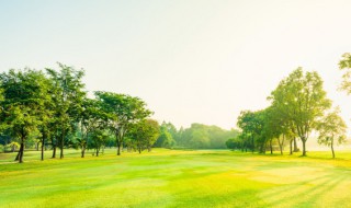 五行缺木怎么办 女生五行缺木怎么办