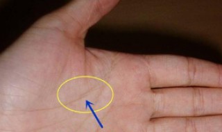 手相生命线代表什么 手相生命线代表什么女人